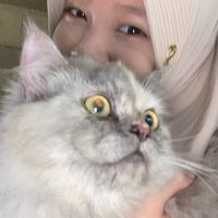 s_qhira