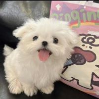 nhạc nền - Xem Douyin ở đây nè