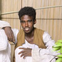 الصوت الأصلي