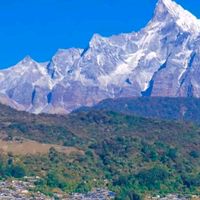 chitwan855