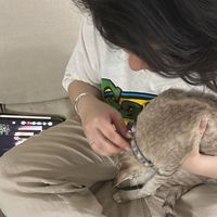 jurian_marakhan
