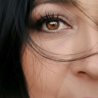 elidgonz