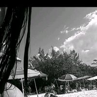 aleiii_00