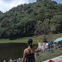 anushadiyali4