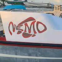 nimodingy