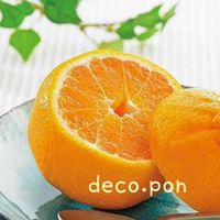 deco.pon.5