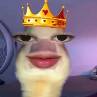 original sound - sinyang14