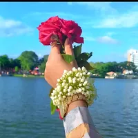 original sound - dubai.prbashir.bow