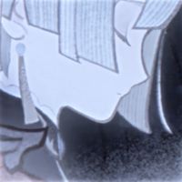 iiuv_33