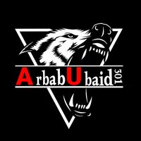 arbabubaid301