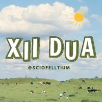 suara asli - sciofelltium