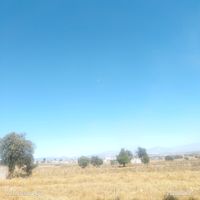olilopez2