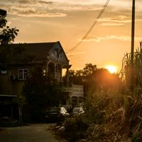 original sound - zewa