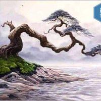 nhạc nền - Camera bonsai