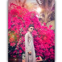 hasibul_66