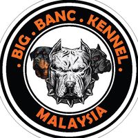 original sound - BIGBANCKENNEL