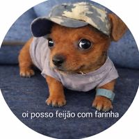 lanna.beatriz_