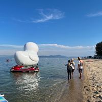 flyborad_biwako