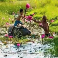 original sound - chamnabmaocute