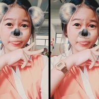 fern_zx15