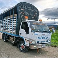 pinilla_trucks