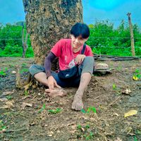 original sound - သိူဝ်ဢွၼ်ႇ
