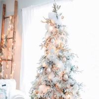 christmas.countdown1.1