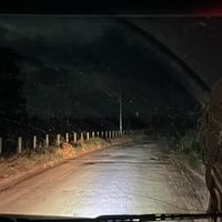 mafia_da_tora_05am