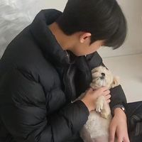 오리지널 사운드 - 시현