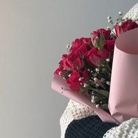 _immy.mg