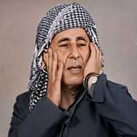 الصوت الأصلي