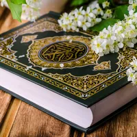 original sound - rt190q