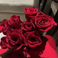 ivalenis