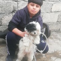 user7883796714925