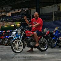 pop_333666