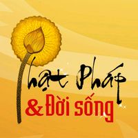 nhạc nền - 🍀 Tuyết Liên Hoa Pháp 🍀
