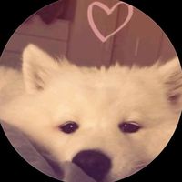 nhạc nền - κнảιAnk🦅