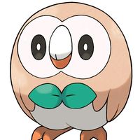 namisop