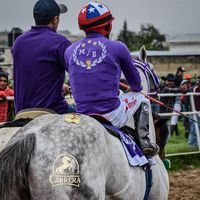 carmona869