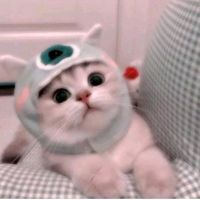 เสียงต้นฉบับ - l Love you 💞