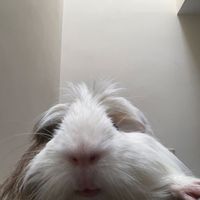 .momo623