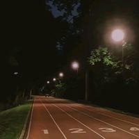 オリジナル楽曲 - 花咲彩葉LIVE垢