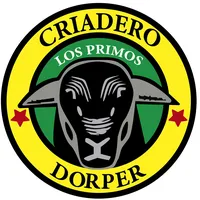 original sound - dorperlosprimos11