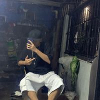 ybnet6