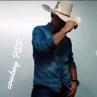 original sound - www.tiktok.comcowboy