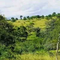 original sound - bweerabwamuntuson