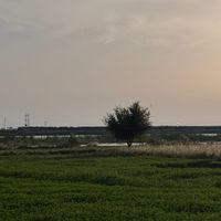 hamuwdi.fuluk
