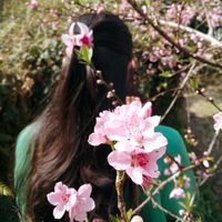 kinleywangmo656