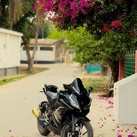 themotofreaker2
