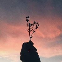 ags_2892